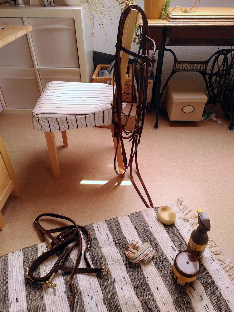 An einem Stuhl hängt ein Westernkopfstück, auf einem Flickenteppich davor liegen ein Kappzaum, ein Schwamm, ein Lappen und zwei Lederpflegemittel.
