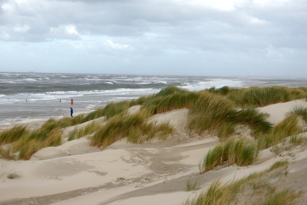 Blick über eine Düne, auf der sich der Strandhafer im Wind beugt. Das Meer ist aufgewühlt.